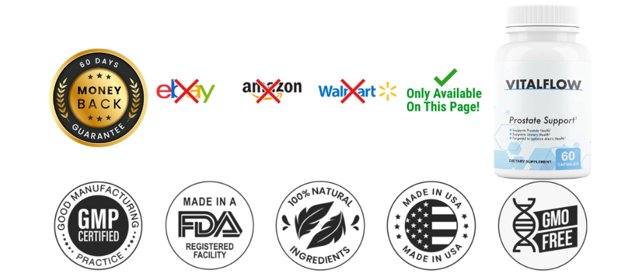 VitalFlow final product image