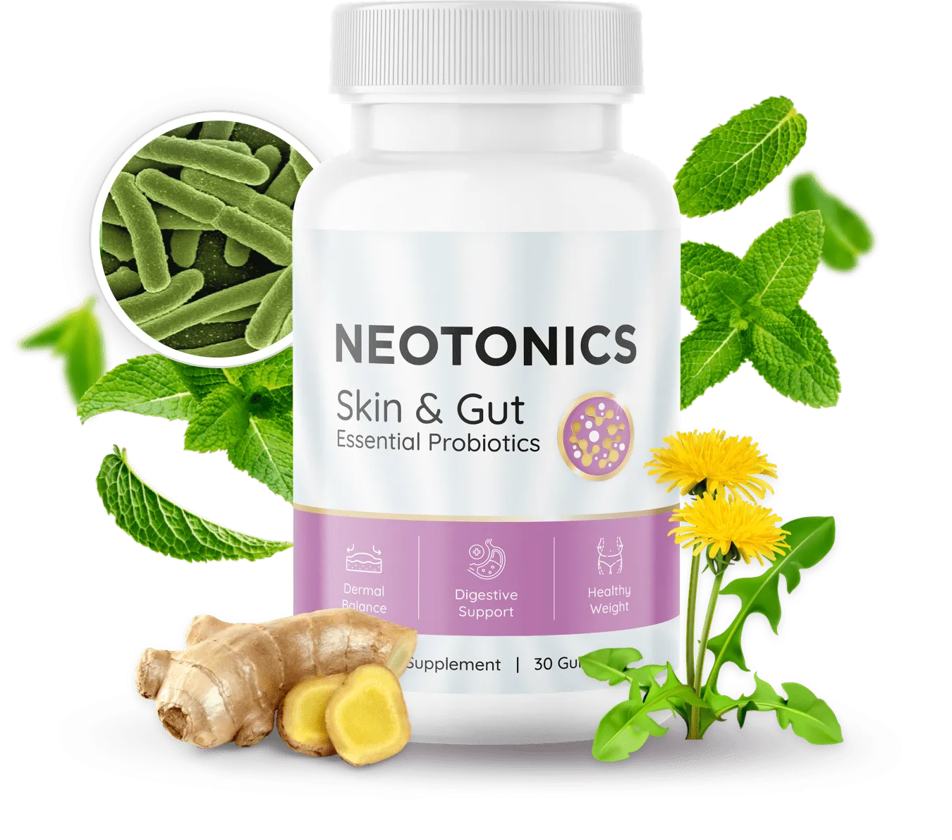 Neotonics product presentation