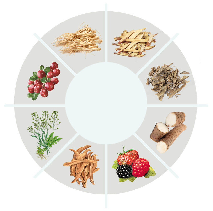 Neotonics ingredient circle